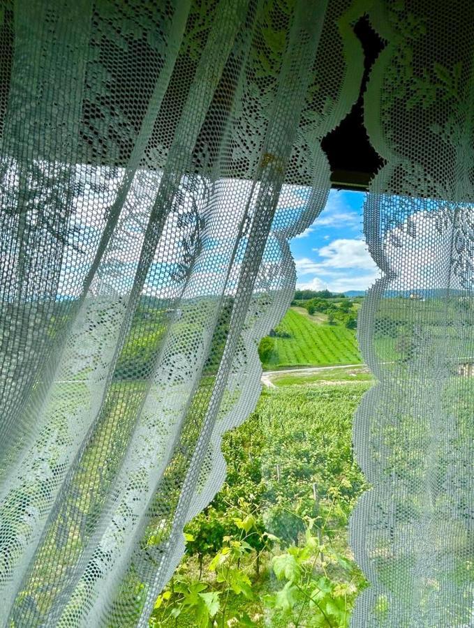 Wine Paradise Szentivánzelina Kültér fotó
