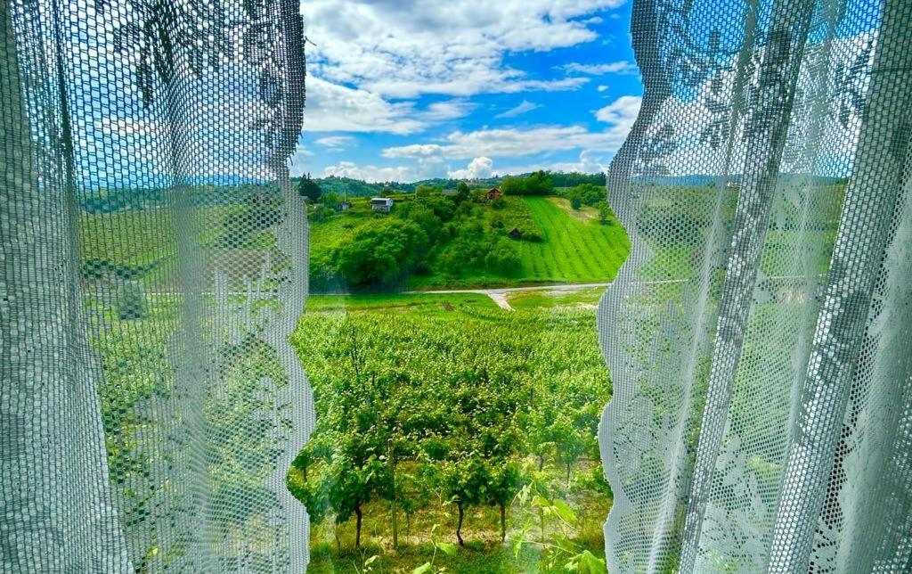 Wine Paradise Szentivánzelina Kültér fotó