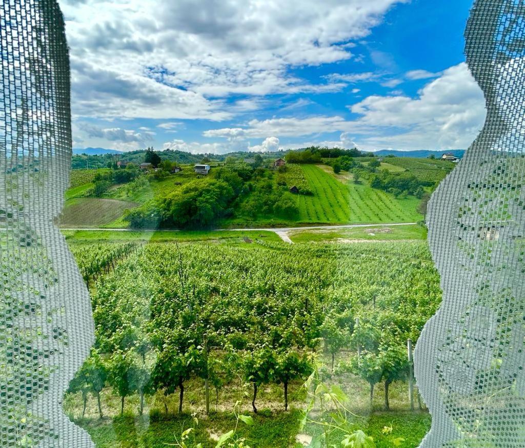 Wine Paradise Szentivánzelina Kültér fotó