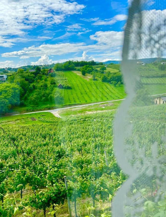 Wine Paradise Szentivánzelina Kültér fotó