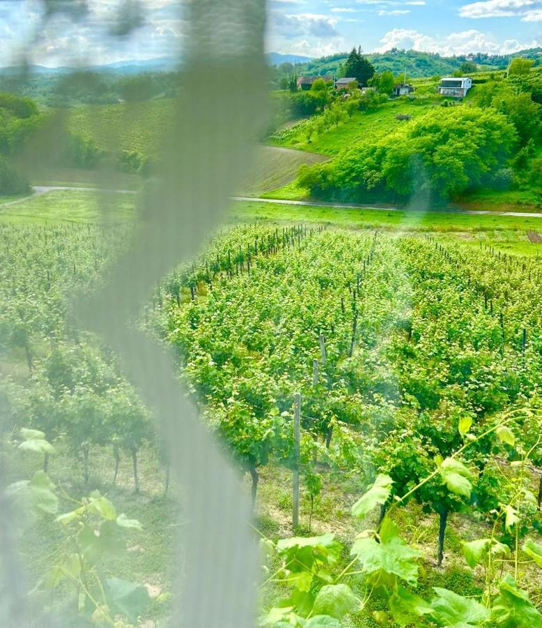 Wine Paradise Szentivánzelina Kültér fotó