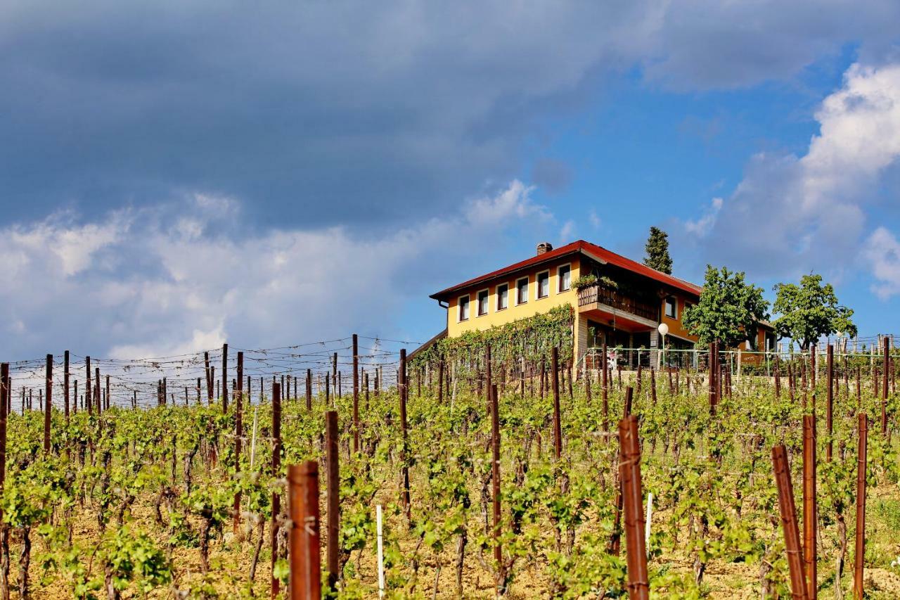 Wine Paradise Szentivánzelina Kültér fotó