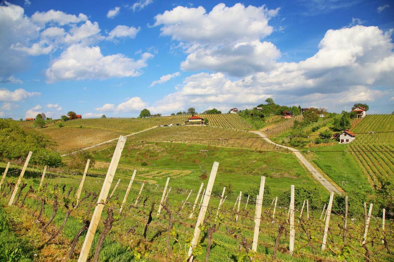 Wine Paradise Szentivánzelina Kültér fotó