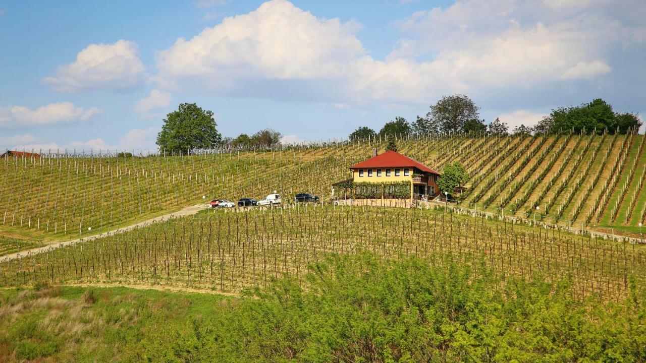 Wine Paradise Szentivánzelina Kültér fotó